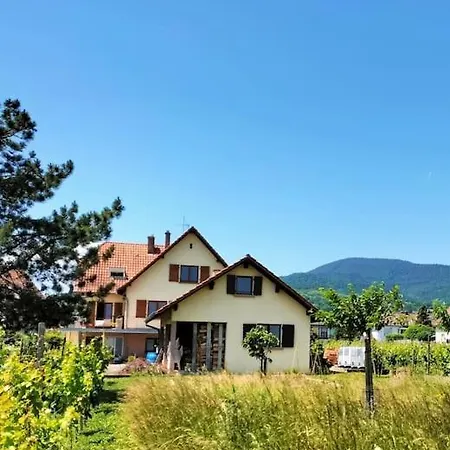 Au Piemont Des Vosges Apartment Gertwiller Exterior photo