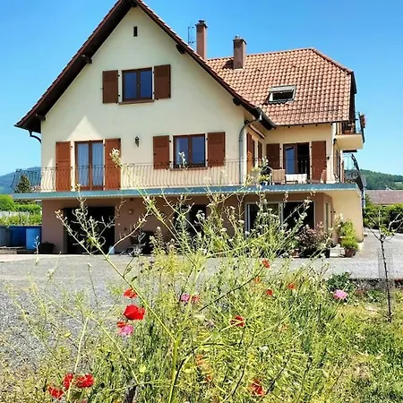 Au Piemont Des Vosges Apartment Gertwiller Exterior photo