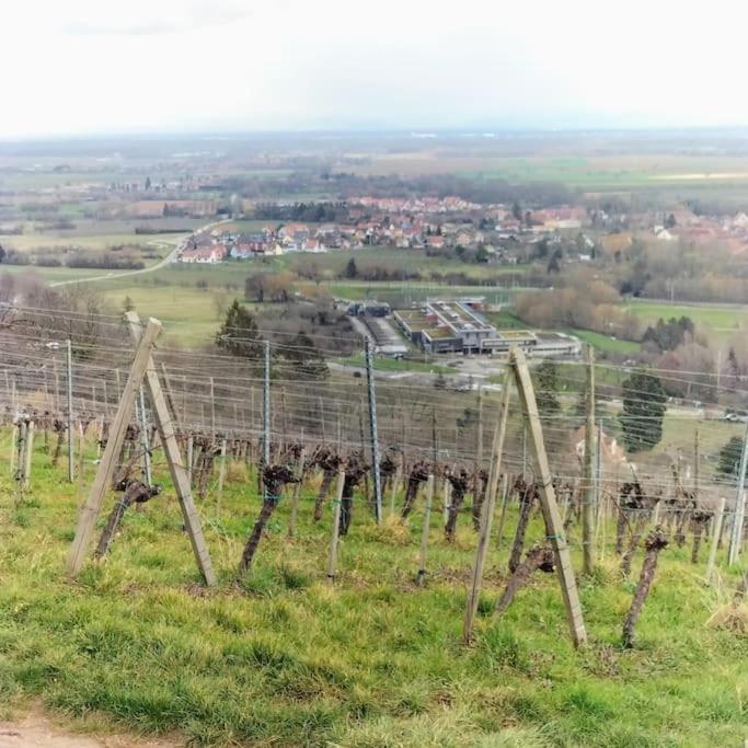Au Piemont Des Vosges * Gertwiller